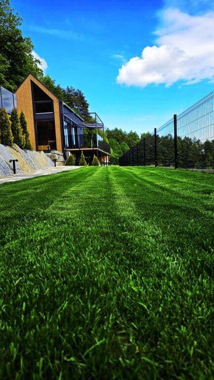 zdjęcie - gallery/mvixkmjdqwkkp66v2xke