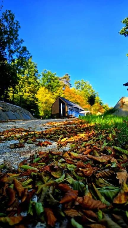 zdjęcie - gallery/o0xo5vkdfmimoube3aw4