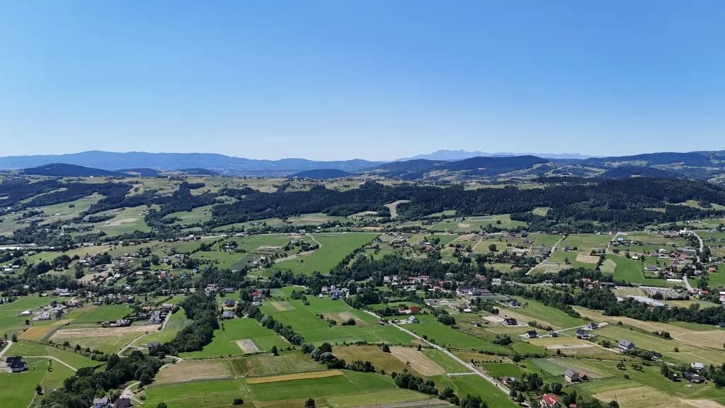 zdjęcie - gallery/ztatgegk7dc2xgeqliyq