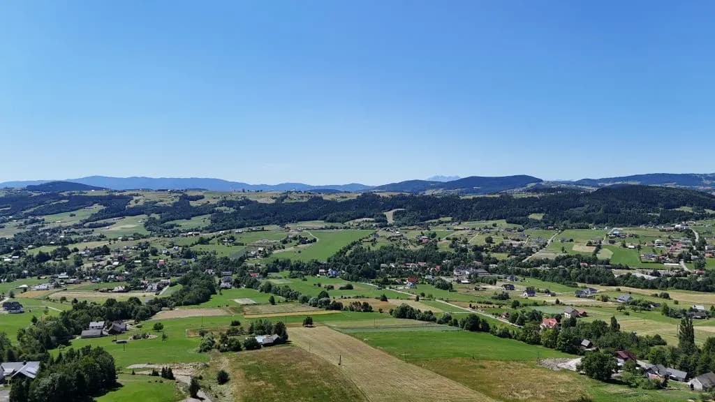 zdjęcie - gallery/zsfjixyt7hlvqw8sqanj